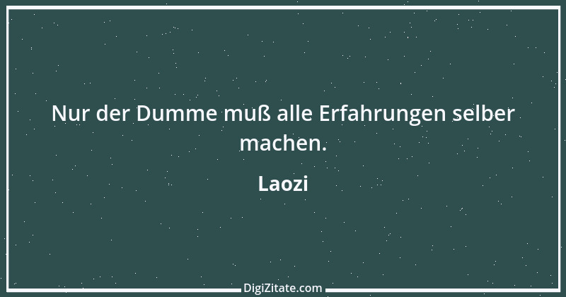 Zitat von Laozi 41