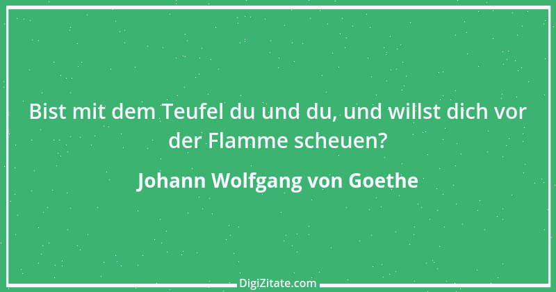 Zitat von Johann Wolfgang von Goethe 785