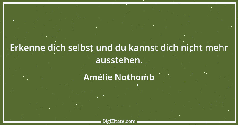 Zitat von Amélie Nothomb 44