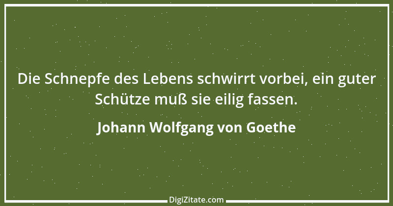 Zitat von Johann Wolfgang von Goethe 2316