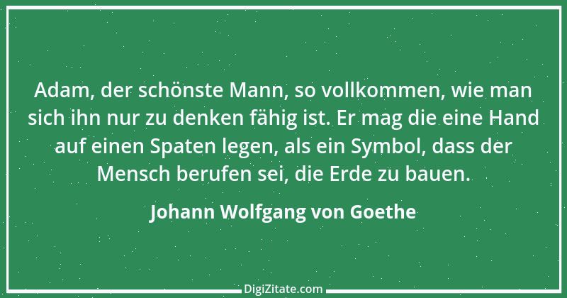 Zitat von Johann Wolfgang von Goethe 4316