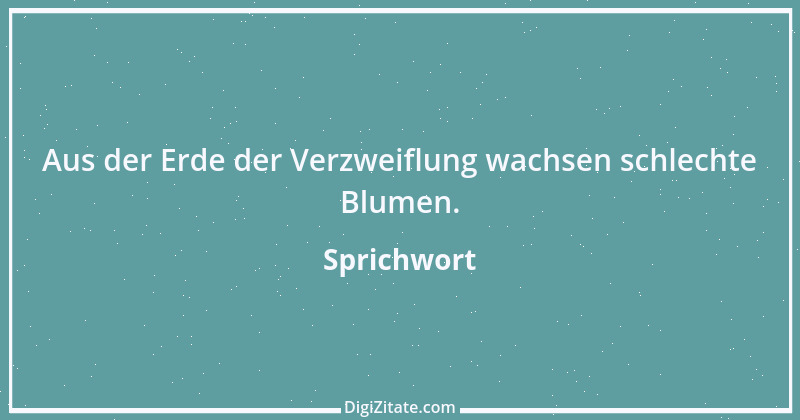 Zitat von Sprichwort 7308