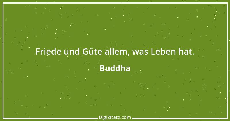 Zitat von Buddha 94