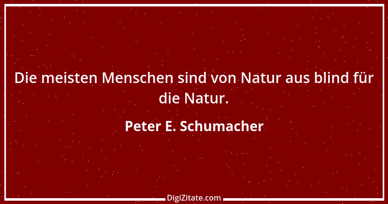 Zitat von Peter E. Schumacher 123