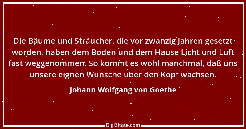 Zitat von Johann Wolfgang von Goethe 319