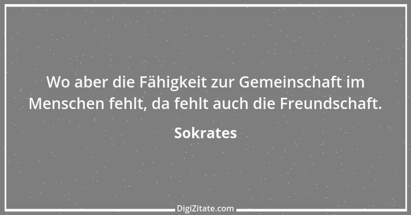 Zitat von Sokrates 4