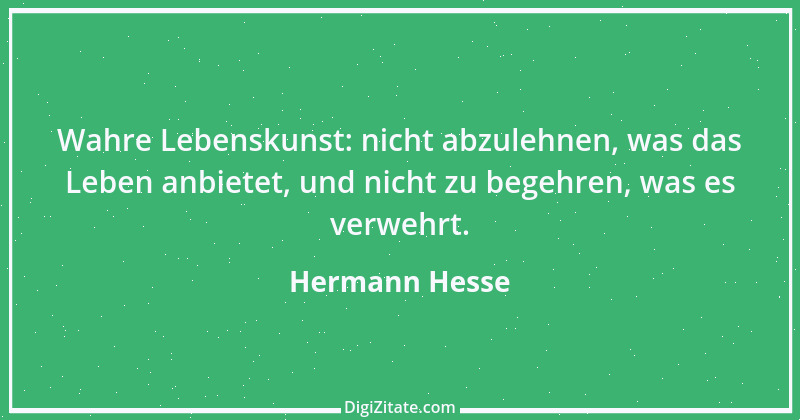 Zitat von Hermann Hesse 8