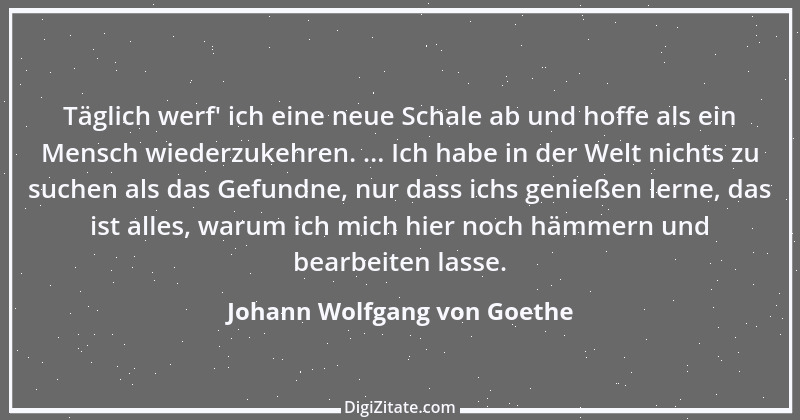 Zitat von Johann Wolfgang von Goethe 2320