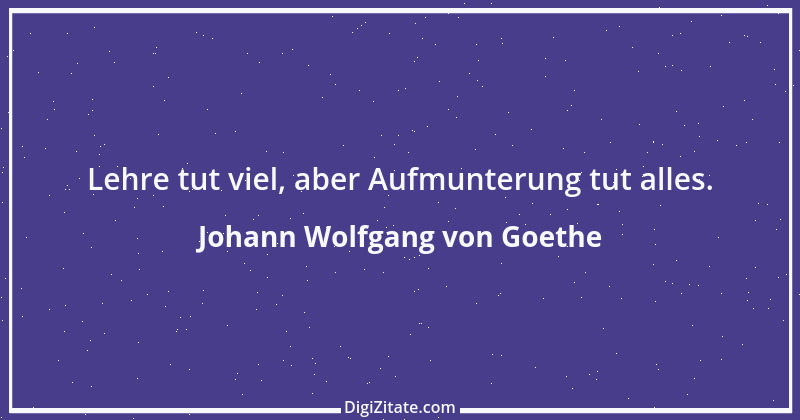 Zitat von Johann Wolfgang von Goethe 2321