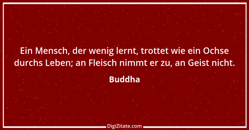 Zitat von Buddha 99