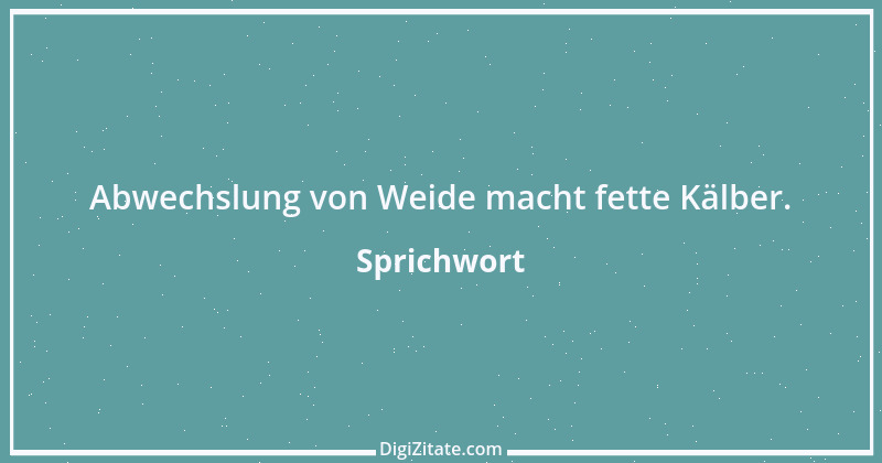 Zitat von Sprichwort 13315