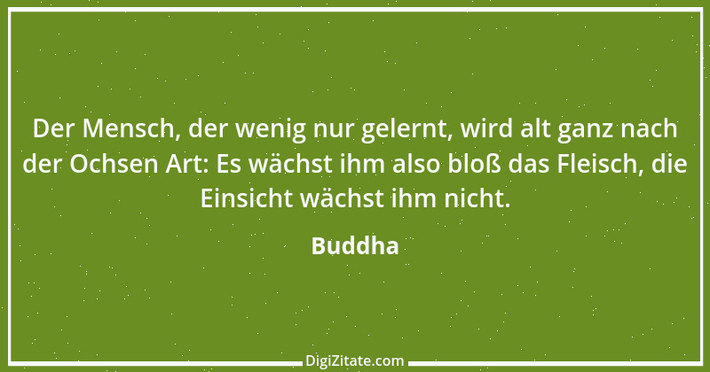 Zitat von Buddha 101