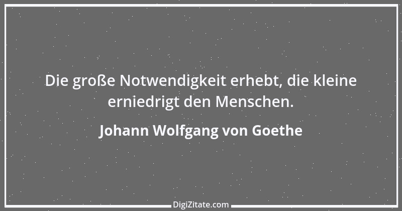 Zitat von Johann Wolfgang von Goethe 1324