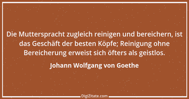 Zitat von Johann Wolfgang von Goethe 325