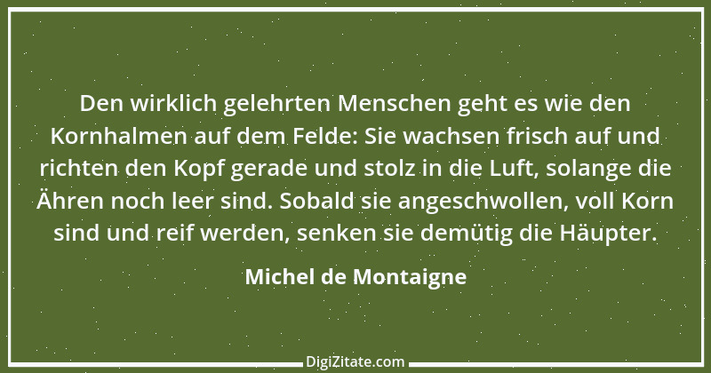 Zitat von Michel de Montaigne 13