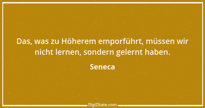 Zitat von Seneca 461