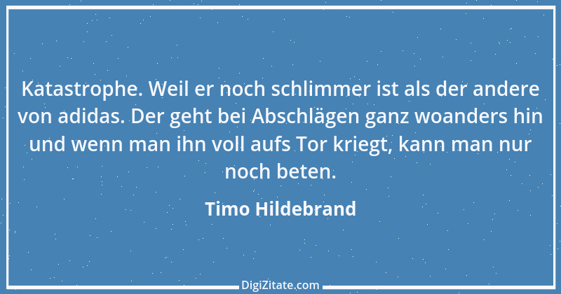 Zitat von Timo Hildebrand 3