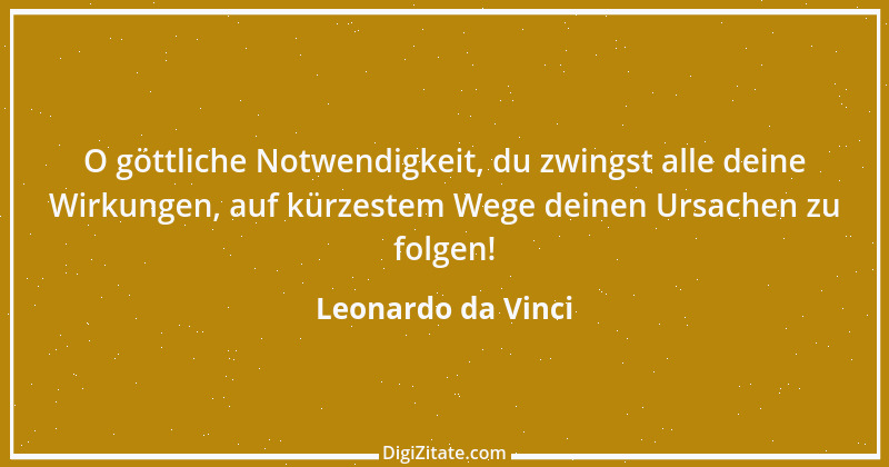 Zitat von Leonardo da Vinci 45