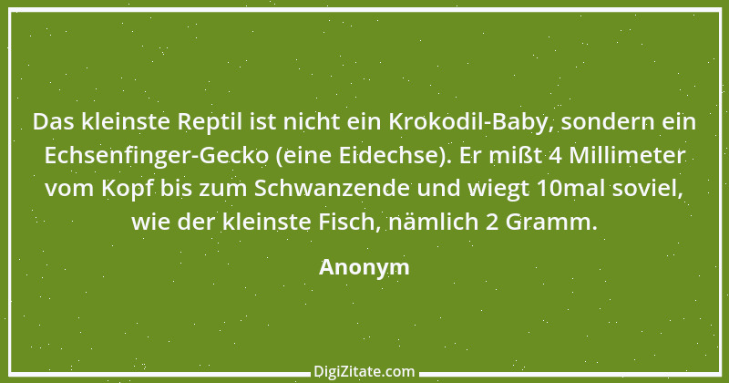 Zitat von Anonym 4295