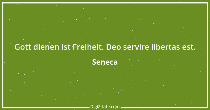 Zitat von Seneca 464