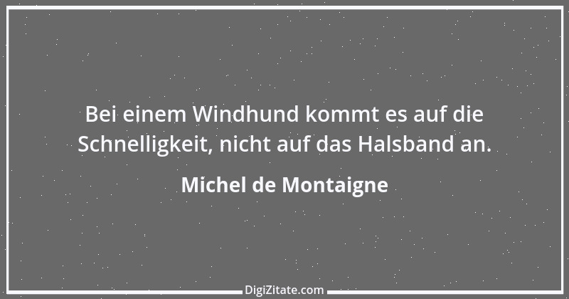 Zitat von Michel de Montaigne 17