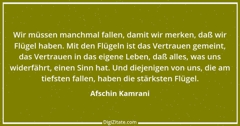 Zitat von Afschin Kamrani 4