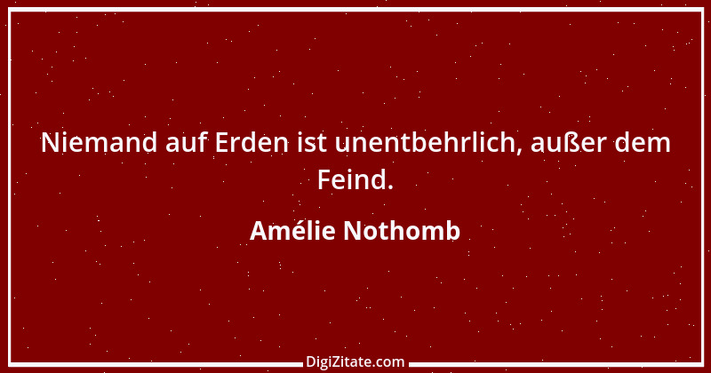 Zitat von Amélie Nothomb 59