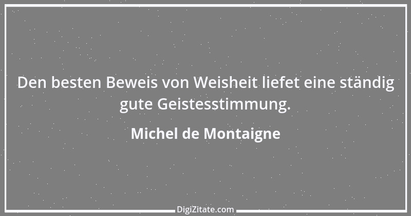 Zitat von Michel de Montaigne 19