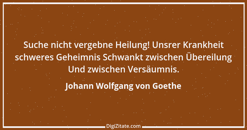 Zitat von Johann Wolfgang von Goethe 334