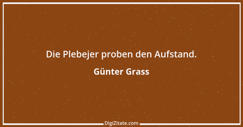 Zitat von Günter Grass 14