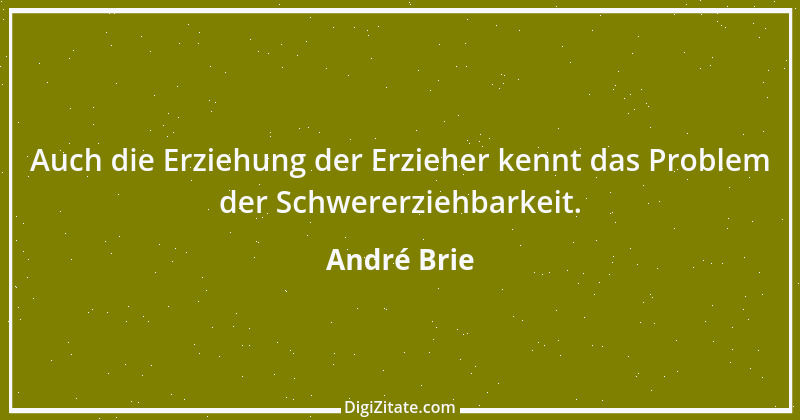 Zitat von André Brie 68