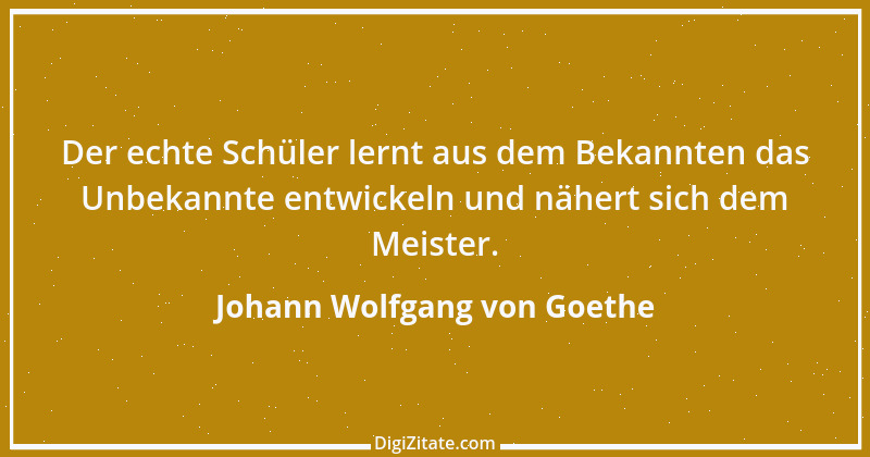 Zitat von Johann Wolfgang von Goethe 3787