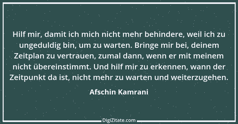 Zitat von Afschin Kamrani 11