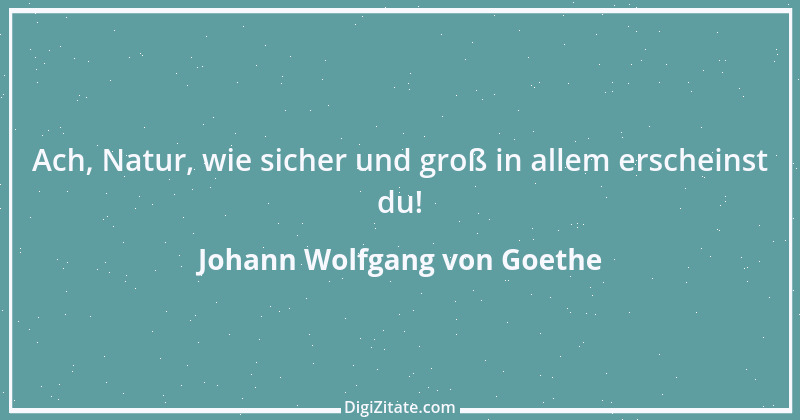 Zitat von Johann Wolfgang von Goethe 1337