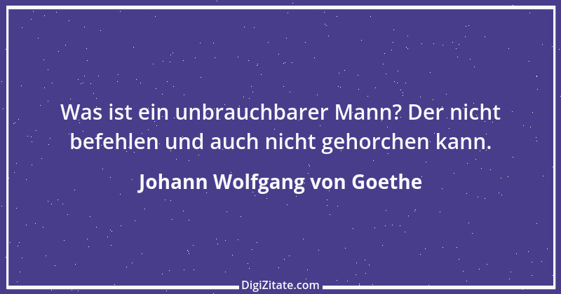 Zitat von Johann Wolfgang von Goethe 2337