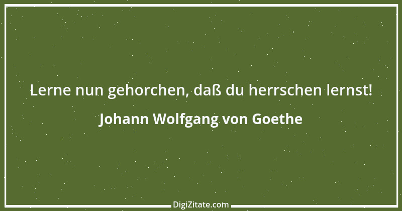 Zitat von Johann Wolfgang von Goethe 337