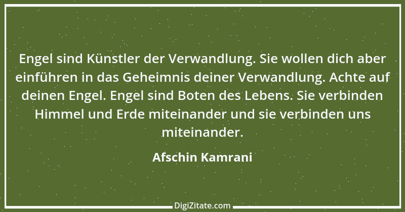 Zitat von Afschin Kamrani 12