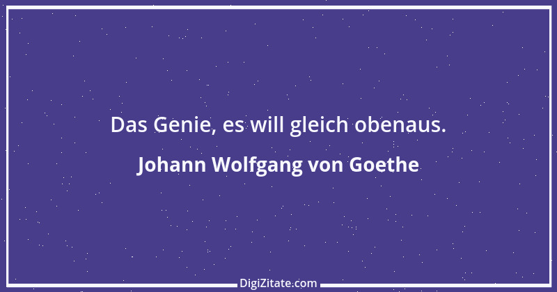 Zitat von Johann Wolfgang von Goethe 1338