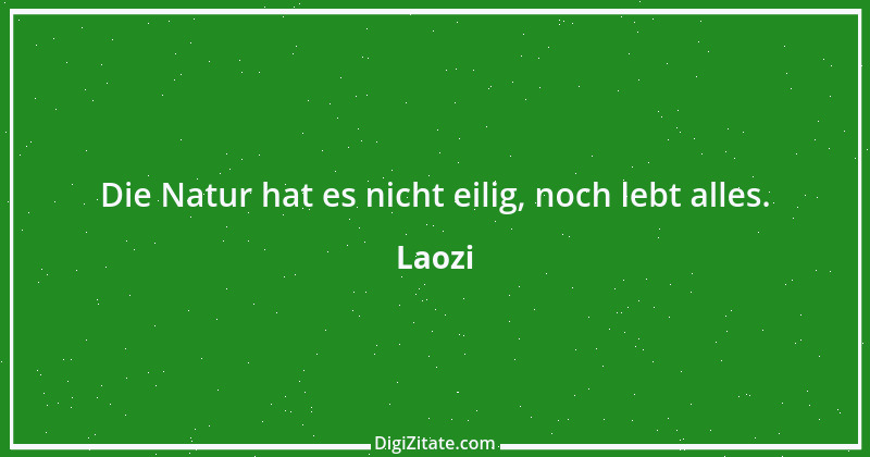 Zitat von Laozi 64