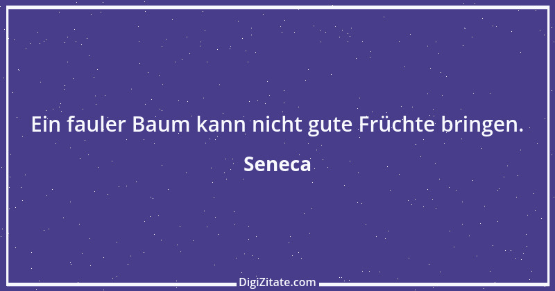 Zitat von Seneca 474