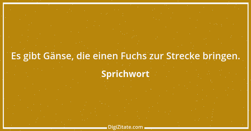 Zitat von Sprichwort 330