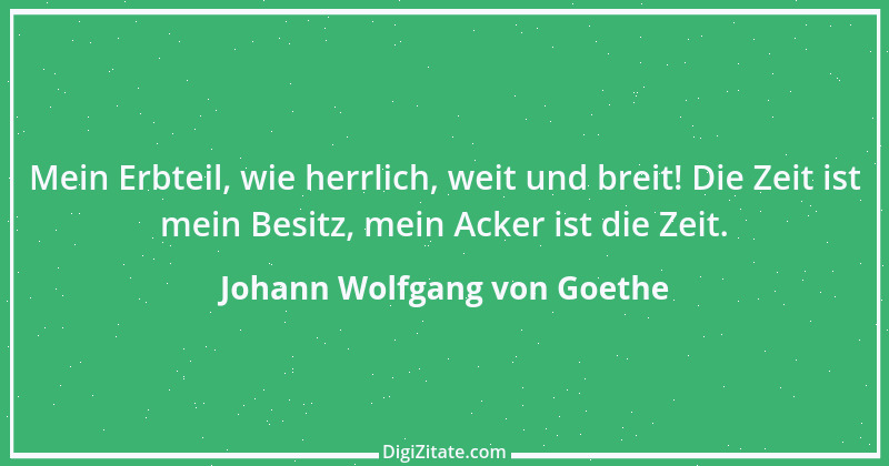 Zitat von Johann Wolfgang von Goethe 339