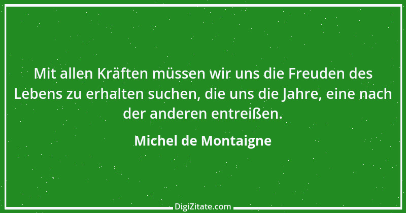 Zitat von Michel de Montaigne 28