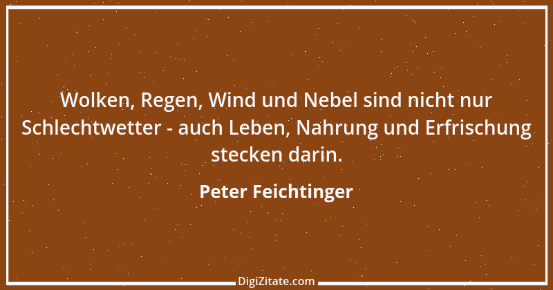 Zitat von Peter Feichtinger 2