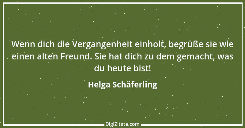 Zitat von Helga Schäferling 97