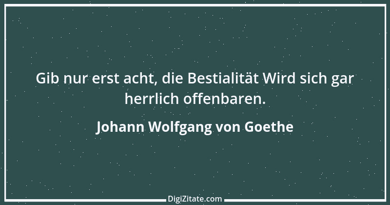 Zitat von Johann Wolfgang von Goethe 1343