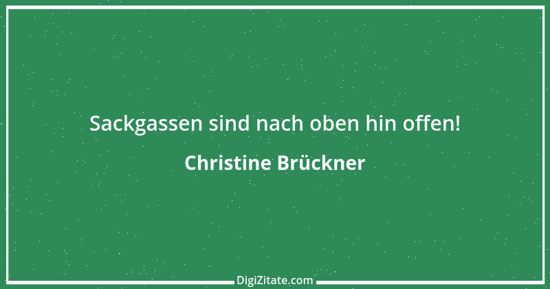 Zitat von Christine Brückner 6