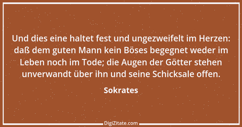 Zitat von Sokrates 30