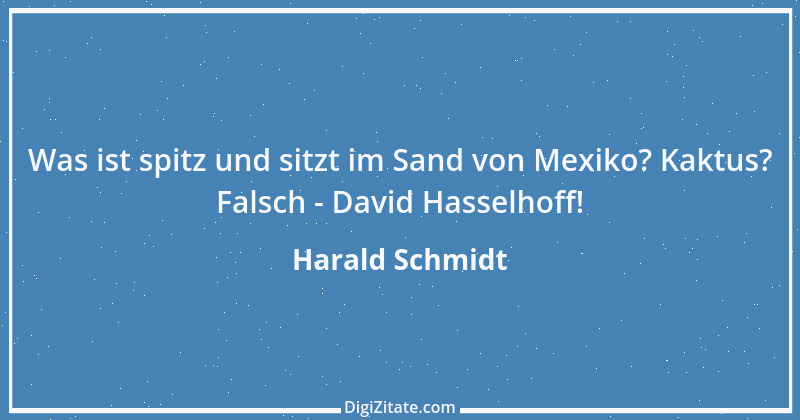 Zitat von Harald Schmidt 106