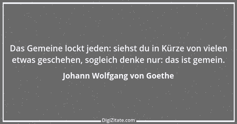 Zitat von Johann Wolfgang von Goethe 788